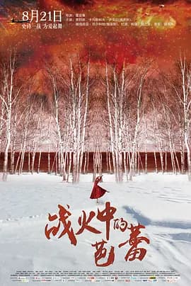 战火中的芭蕾[电影解说]-电影封面