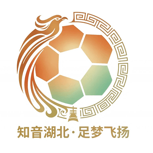 湖北省城市足球联赛 鄂州临空队VS荆州恒隆队20260718-综艺封面