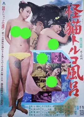怪猫土耳其浴场[电影解说]-电影封面