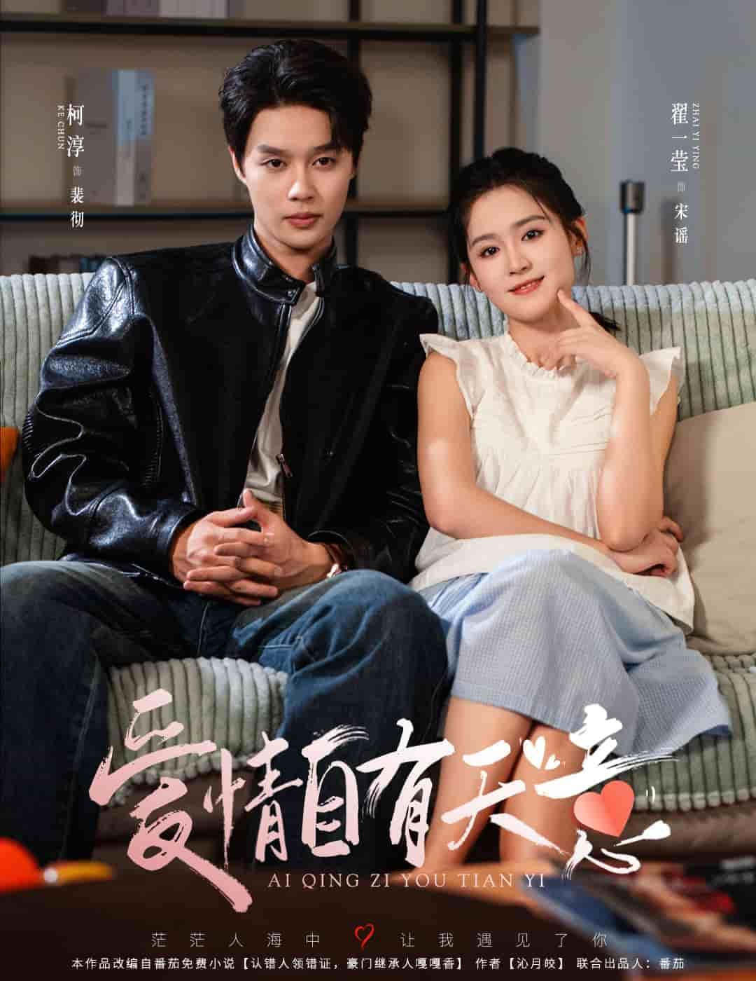 爱情自有天意-影视封面