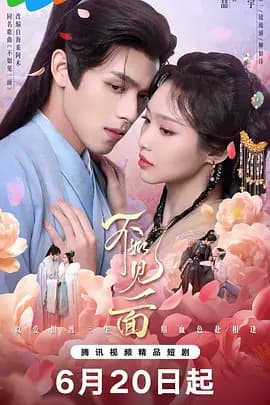 不如见一面-剧集封面