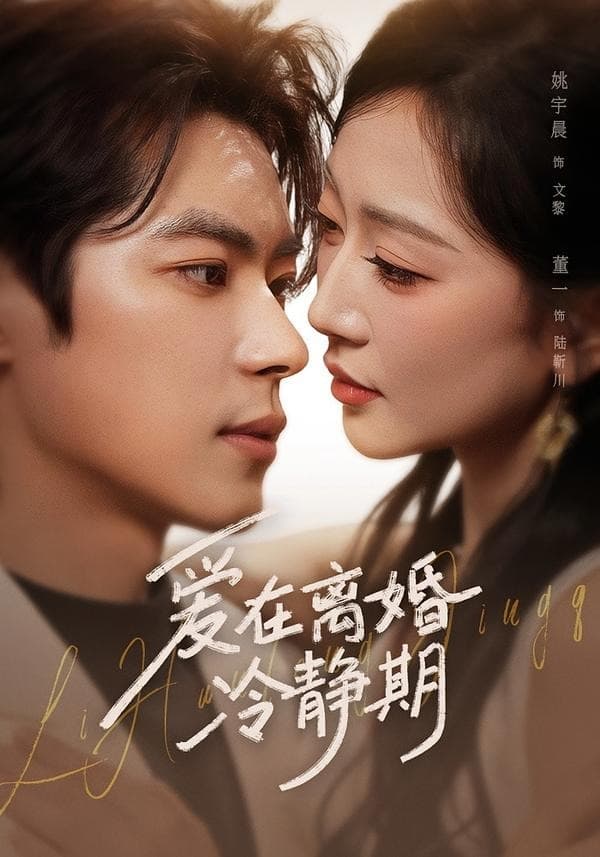 爱在离婚冷静期-短剧封面