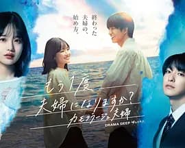 要再做一次夫妇吗?~伪装夫妇~-剧集封面