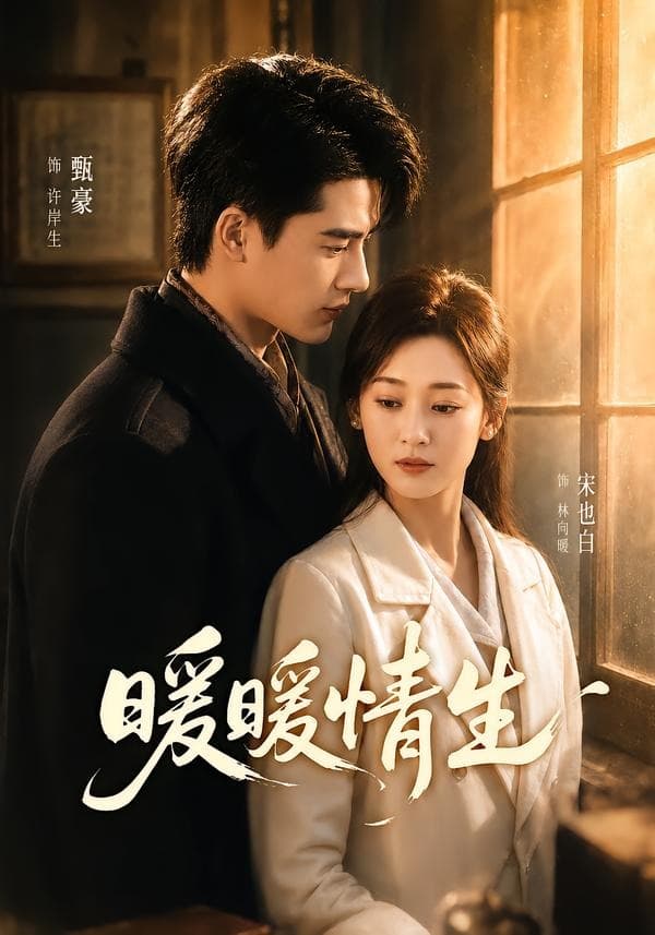 暖暖情生-短剧封面