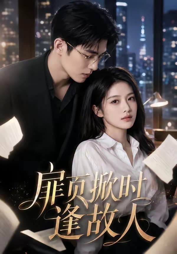 扉页掀时逢故人-剧集封面