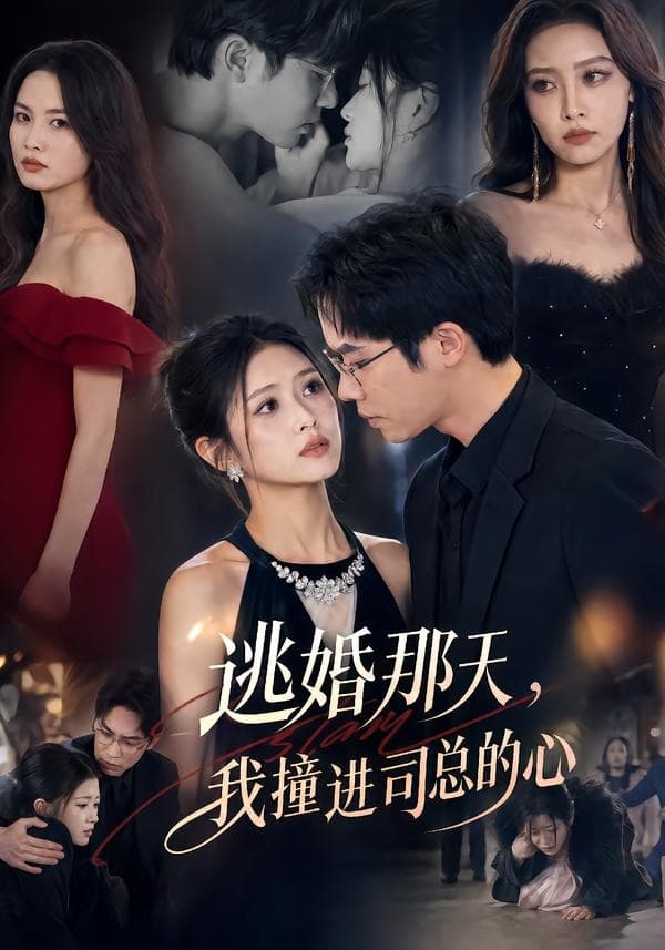 逃婚那天，我撞进司总的心-短剧封面
