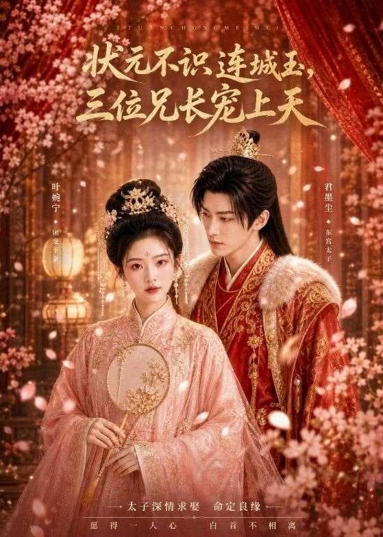 状元不识连城玉，三位兄长宠上天-剧集封面