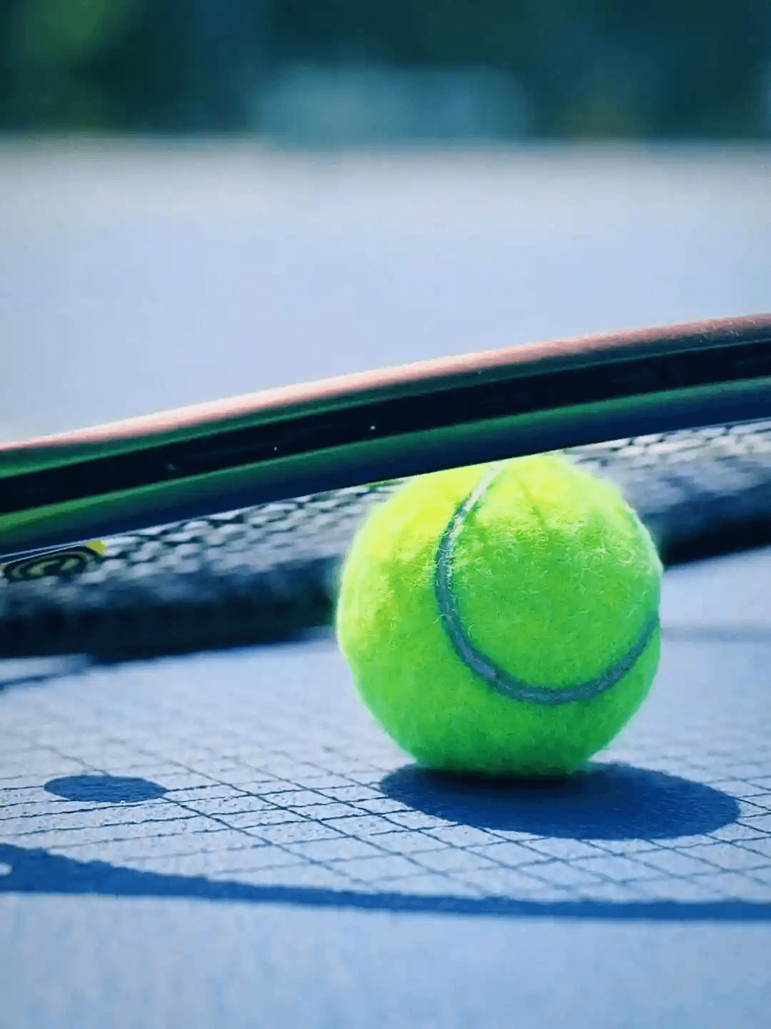 WTA500华盛顿站女双第二轮：施耐德_大威廉姆斯VS汤千慧_徐一璠-综艺封面
