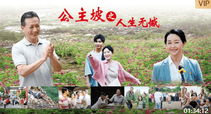 公主坡之人生无憾-电影封面