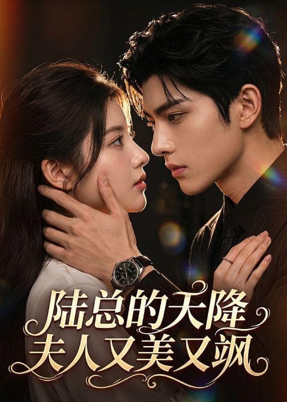 陆总的天降夫人又美又飒-剧集封面