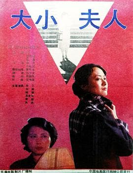 大小夫人-电影封面
