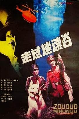 走过迷魂谷-电影封面