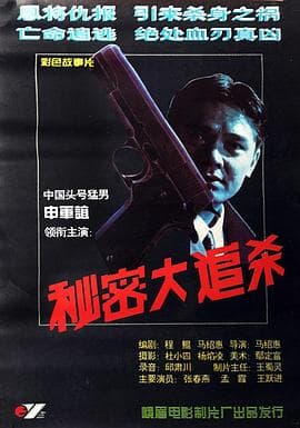 秘密大追杀-电影封面