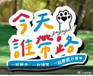 今天谁带路-综艺封面