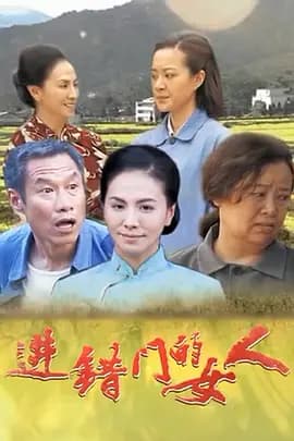 进错门的女人-剧集封面