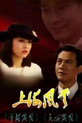 上海风云粤语-剧集封面