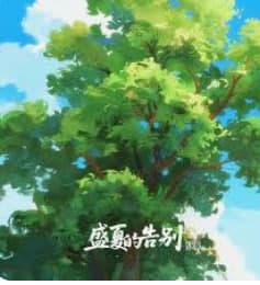 盛夏的告别-电影封面