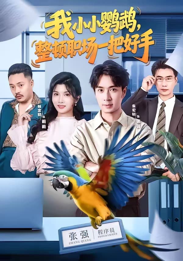 我小小鹦鹉,整顿职场一把好手-影视封面