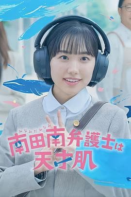 非常律师南田南-剧集封面